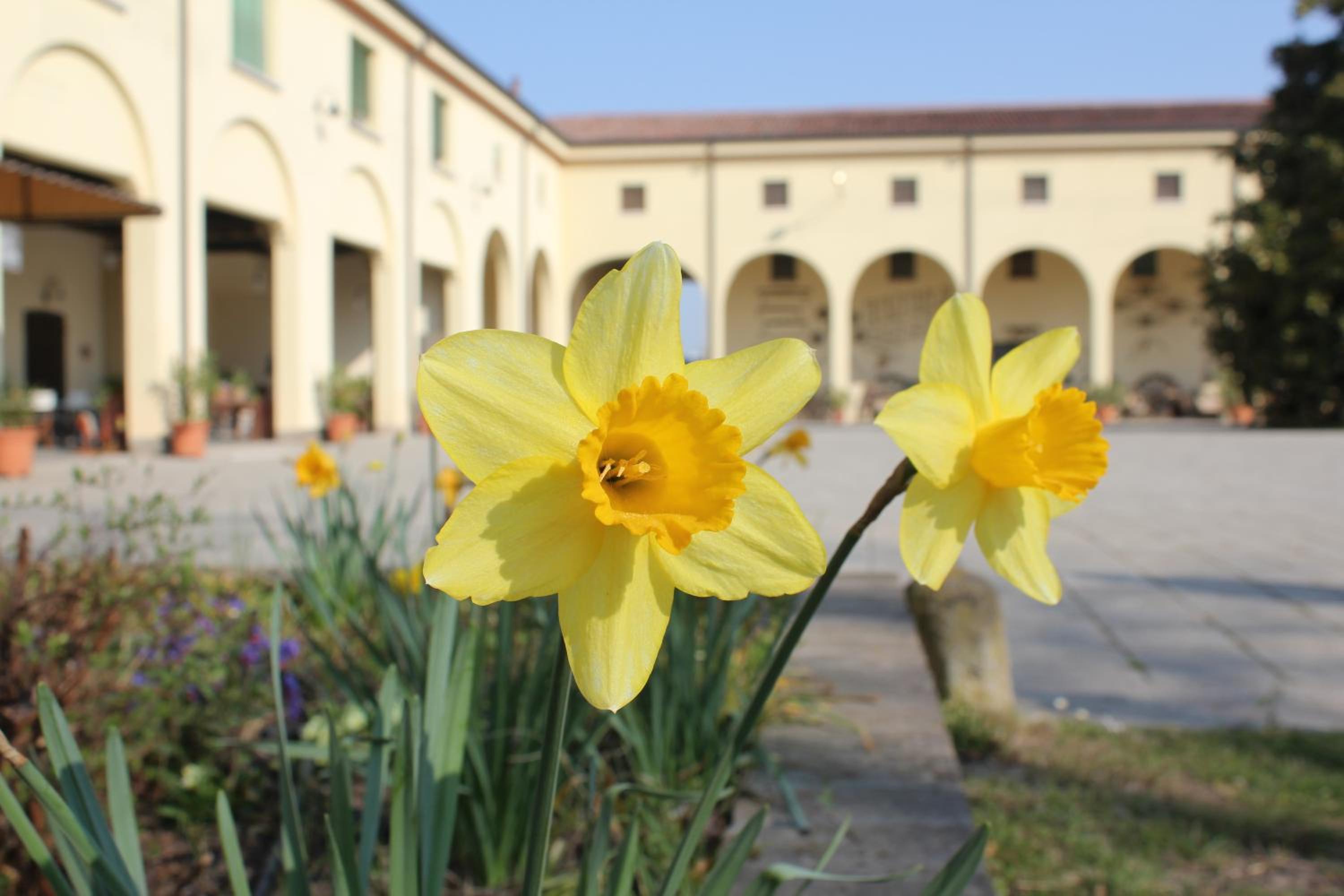 Agriturismo Corte Carezzabella