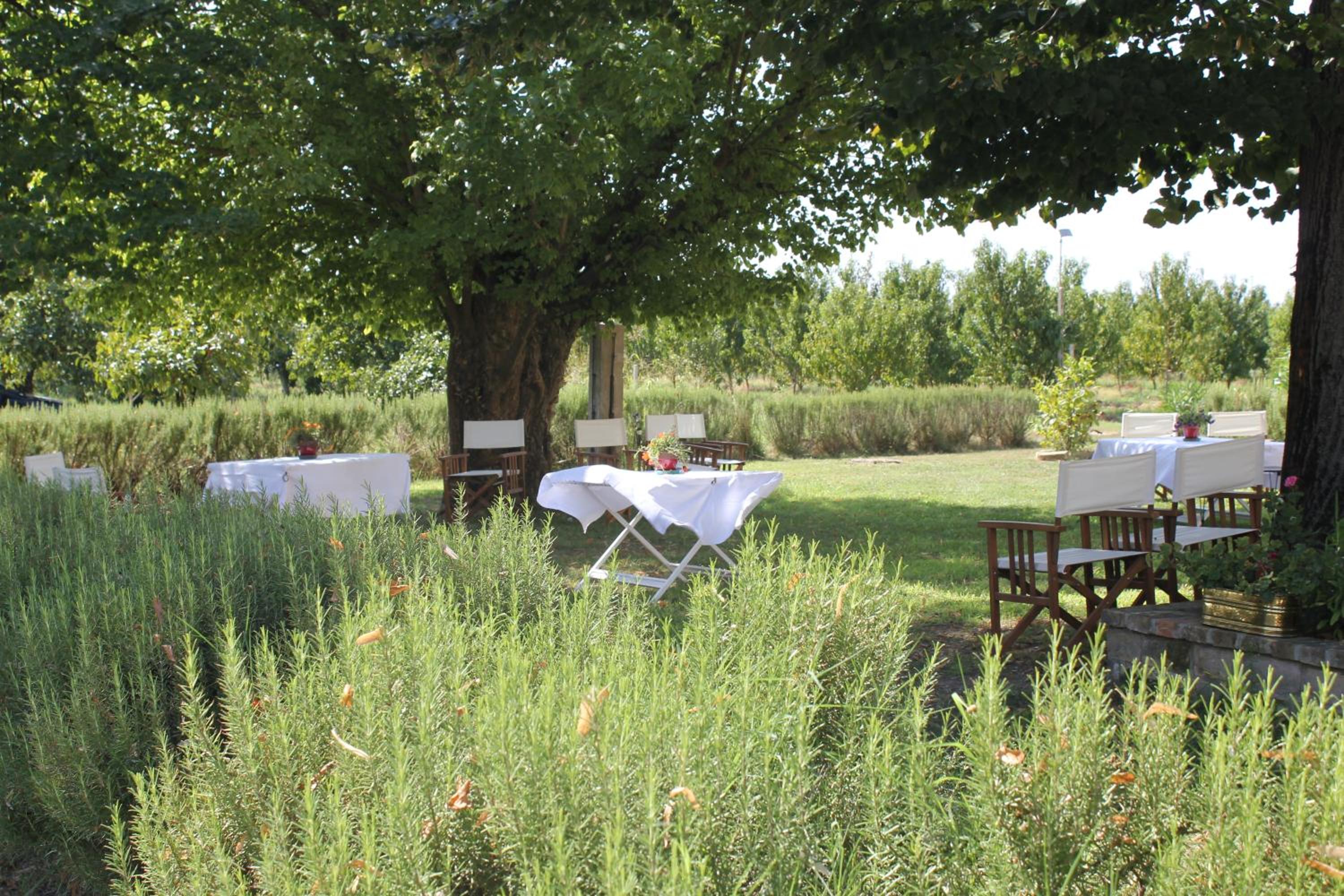 Agriturismo Corte Carezzabella