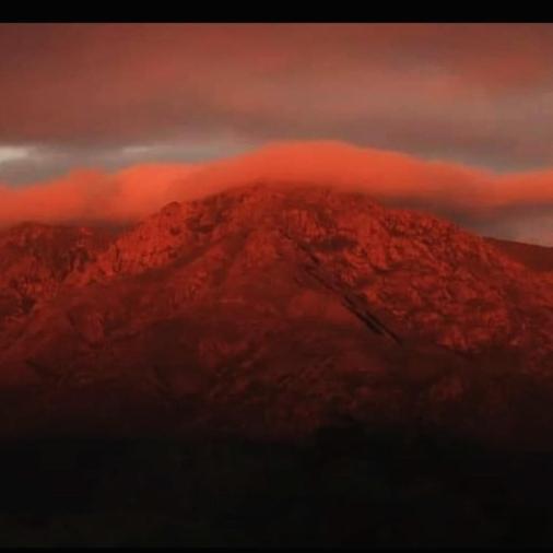 Palmares al cerro
