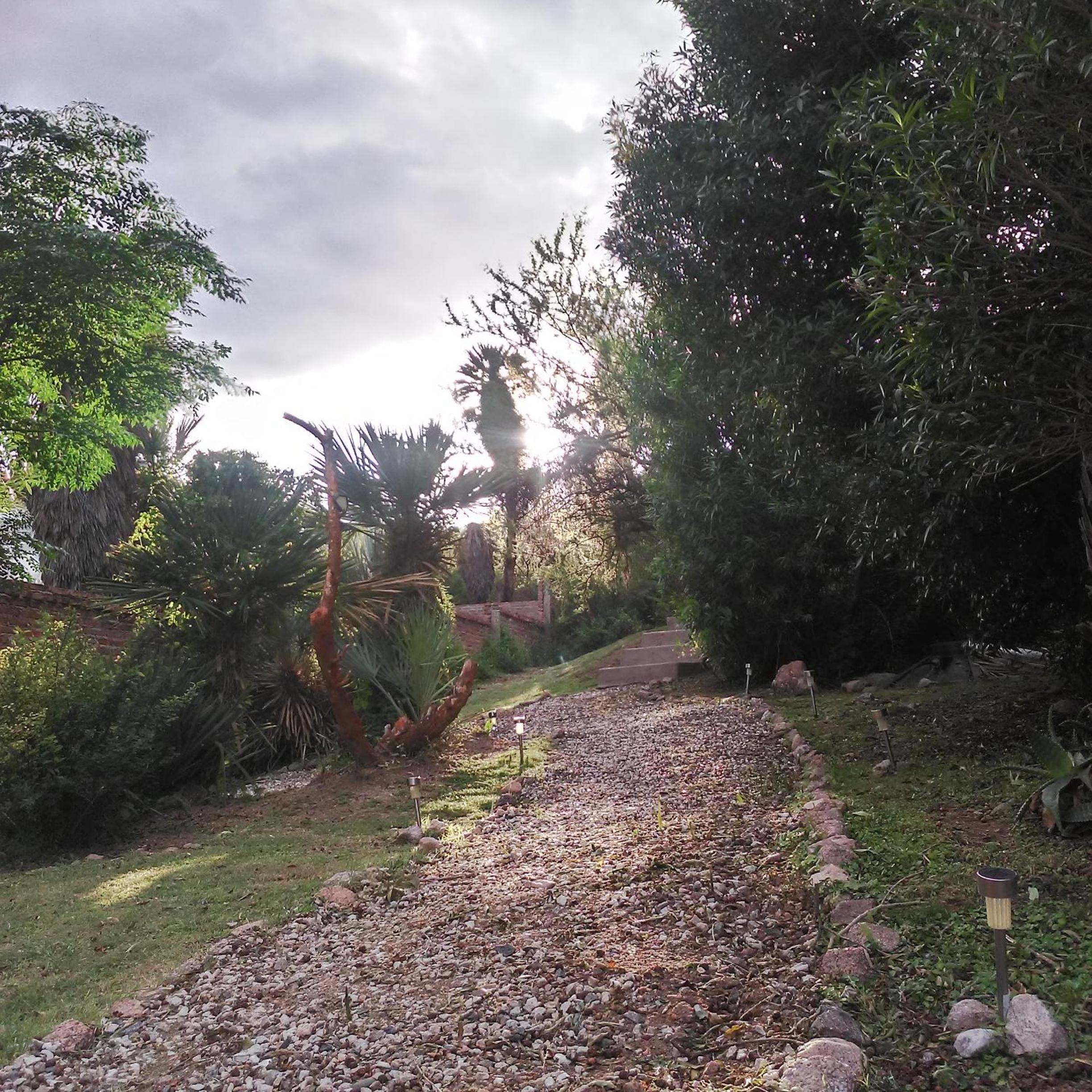 Palmares al cerro