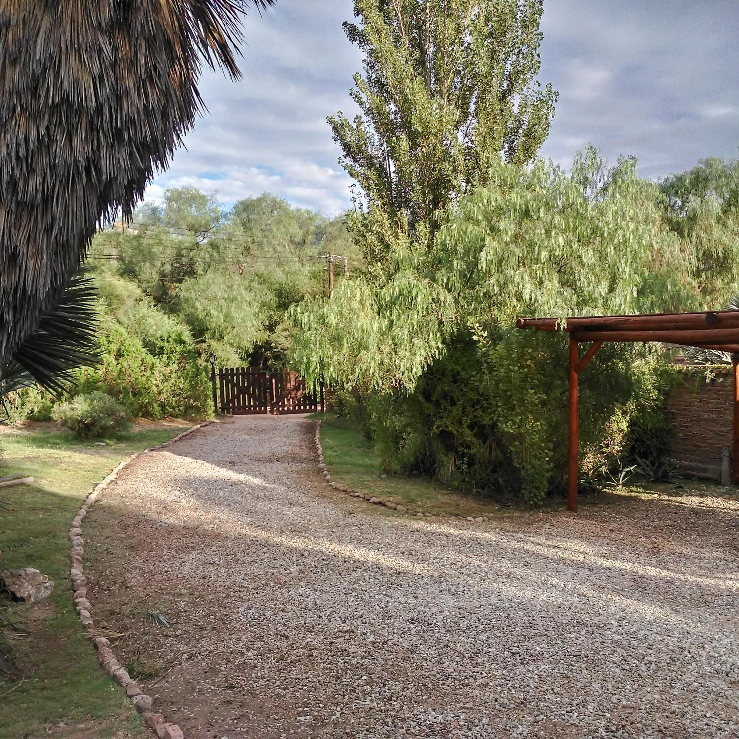 Palmares al cerro
