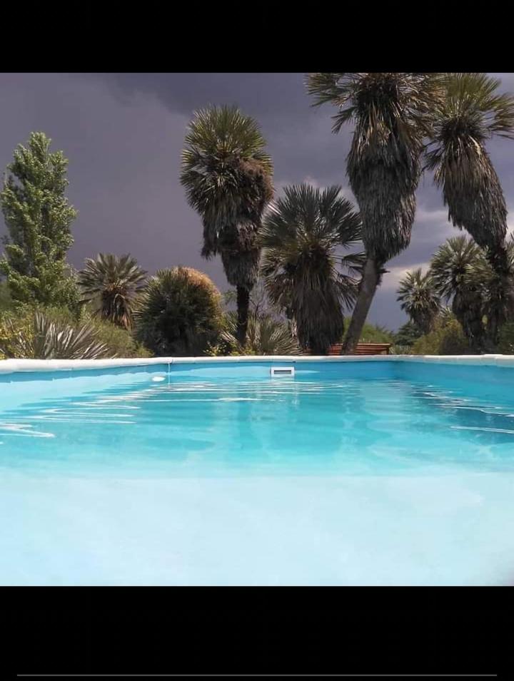 Palmares al cerro