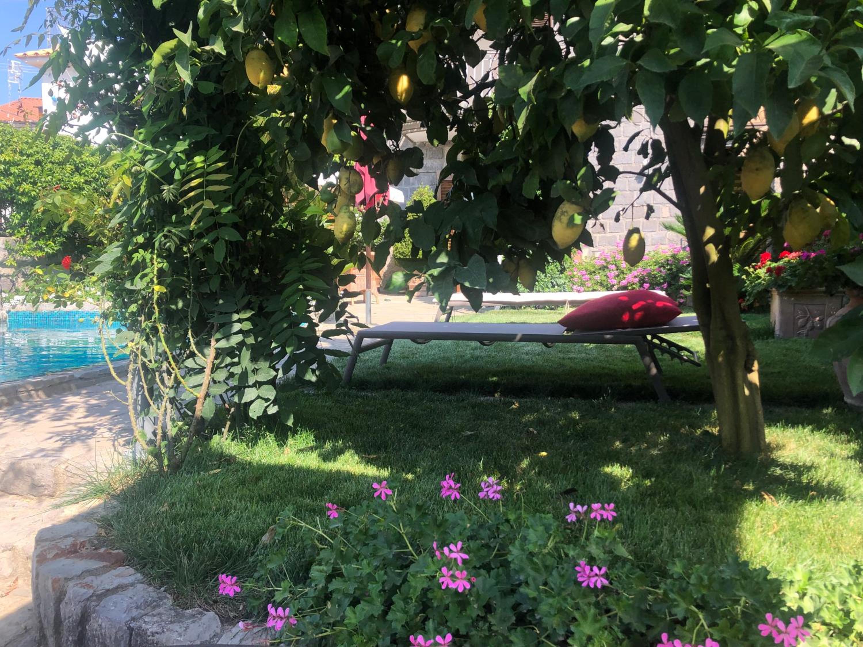 Photo 22
