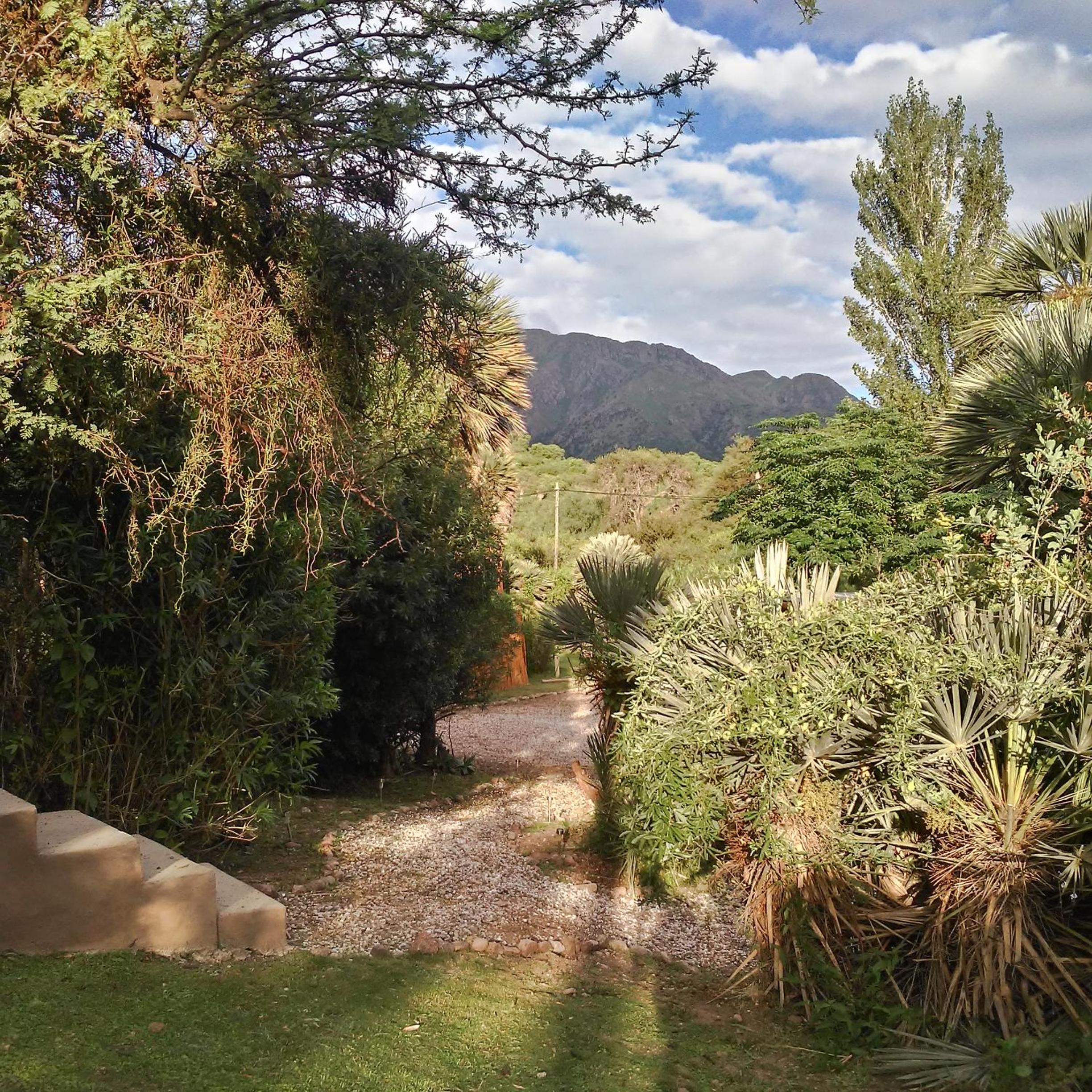 Palmares al cerro