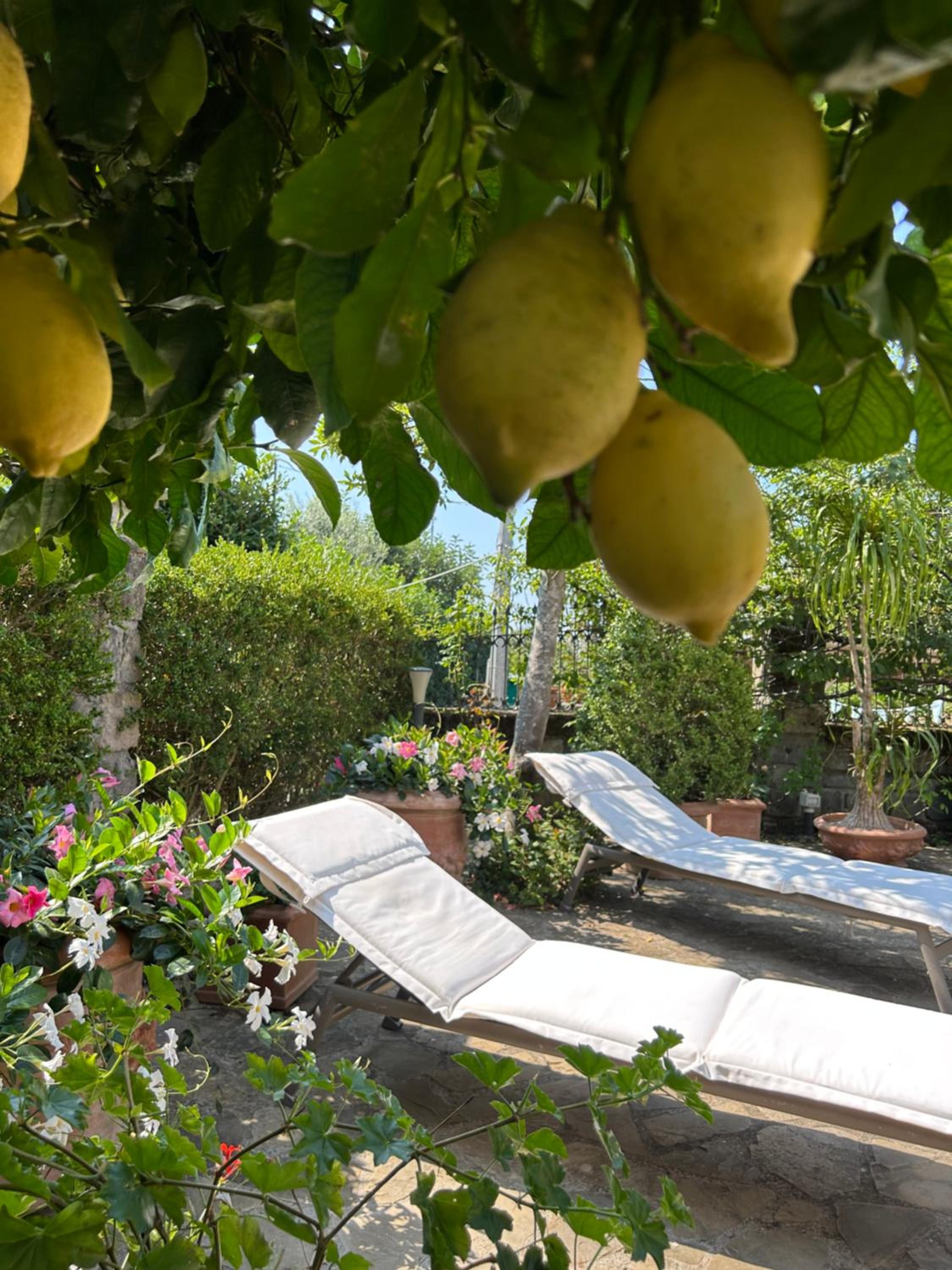 Photo 24