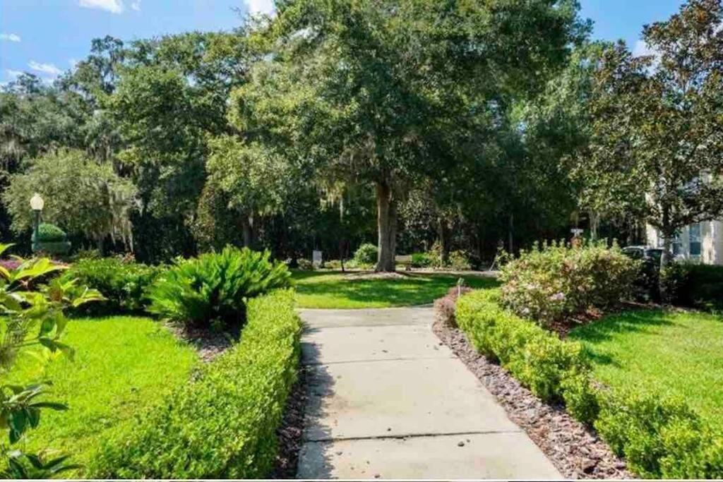 GREAT3Bed&3bath. 2balconies. Perfect Gainesville neighborhood view 5