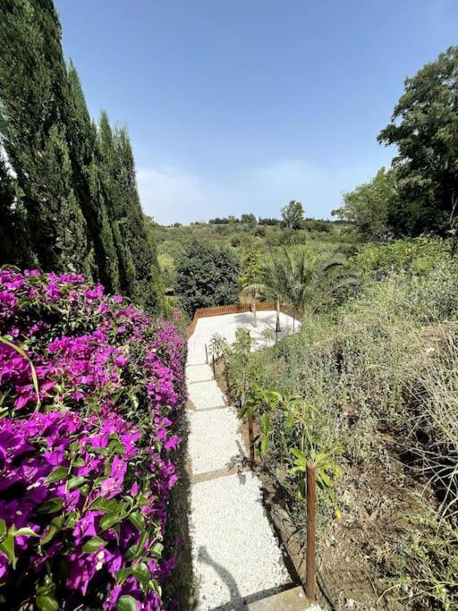 Villa Marbella