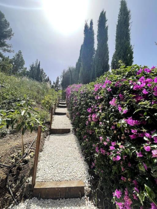 Villa Marbella