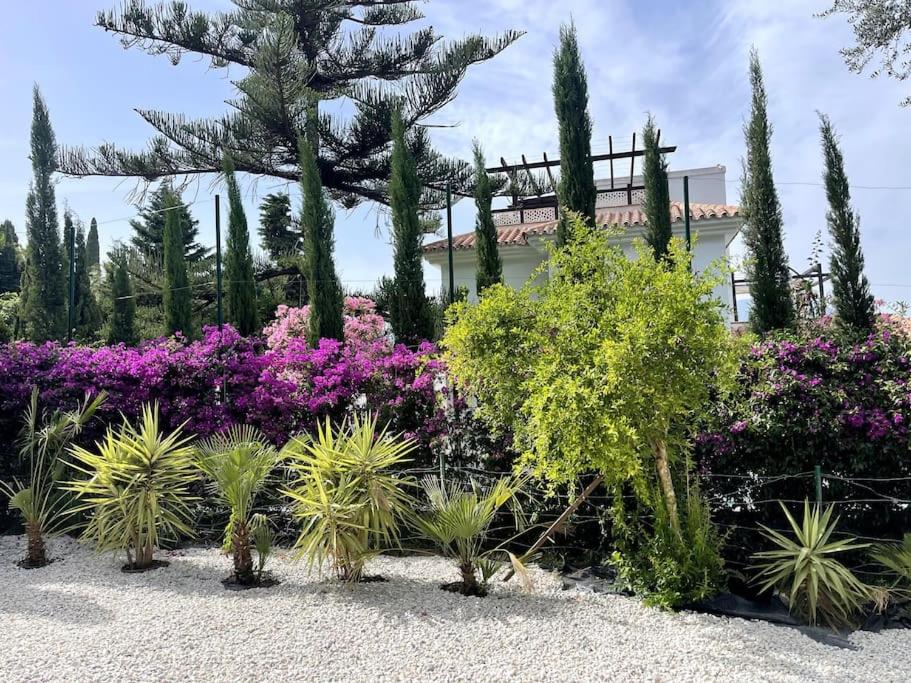 Villa Marbella