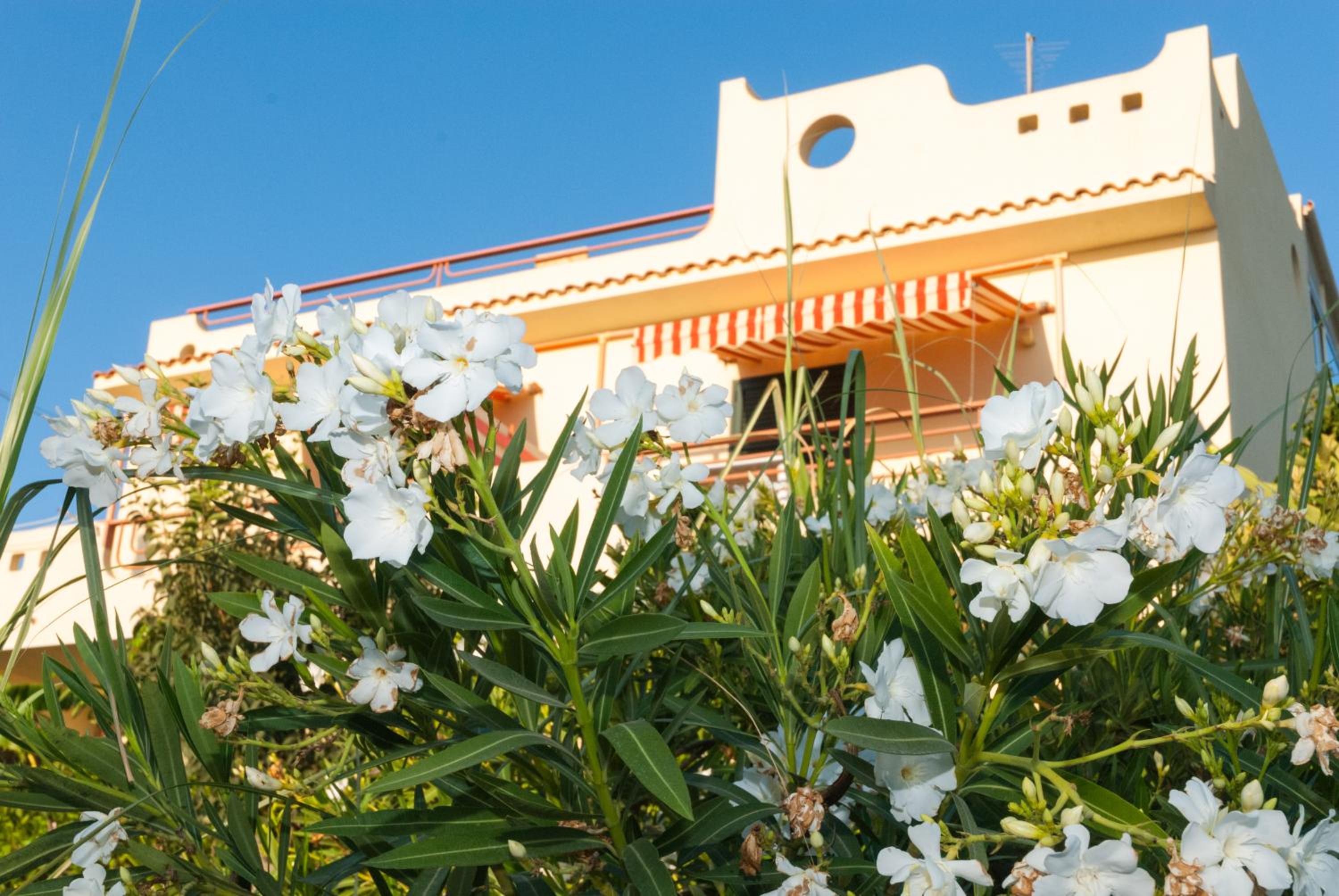 Surra Mediterranean Apartments view 2