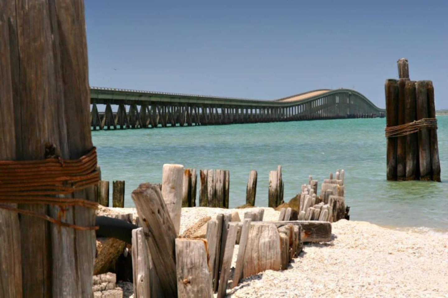The Sandy Pelican - Community Pool - Pet Friendly view 5
