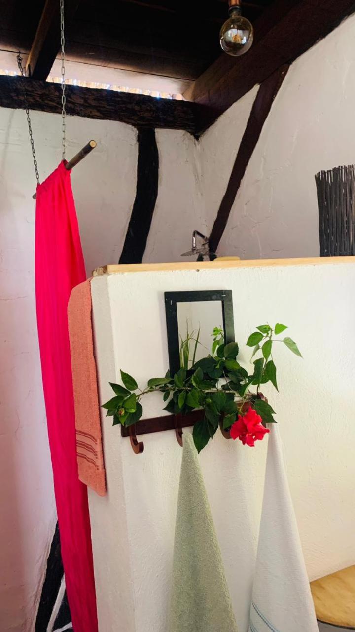 El Paraiso de Carmen