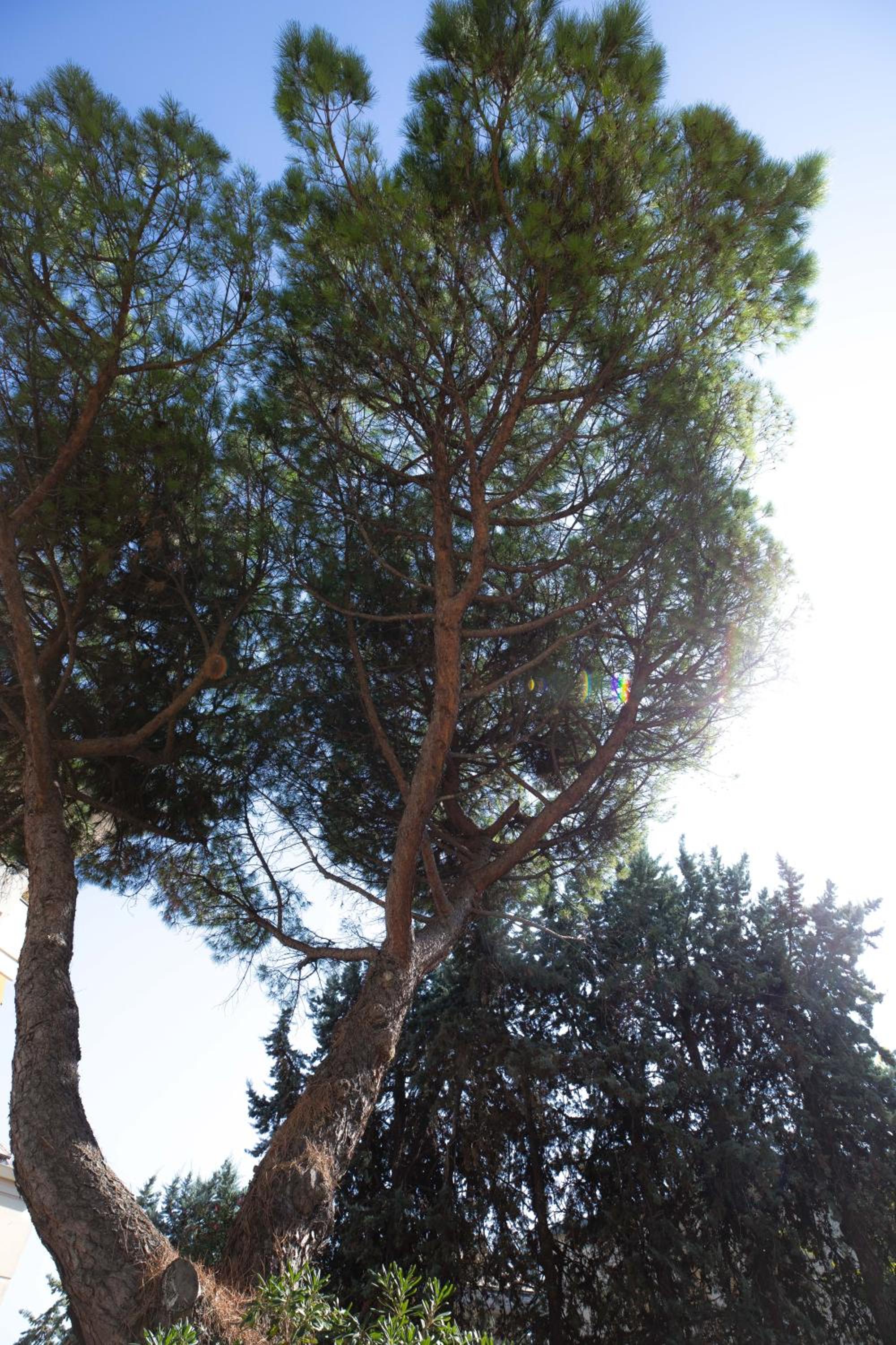 Photo 43