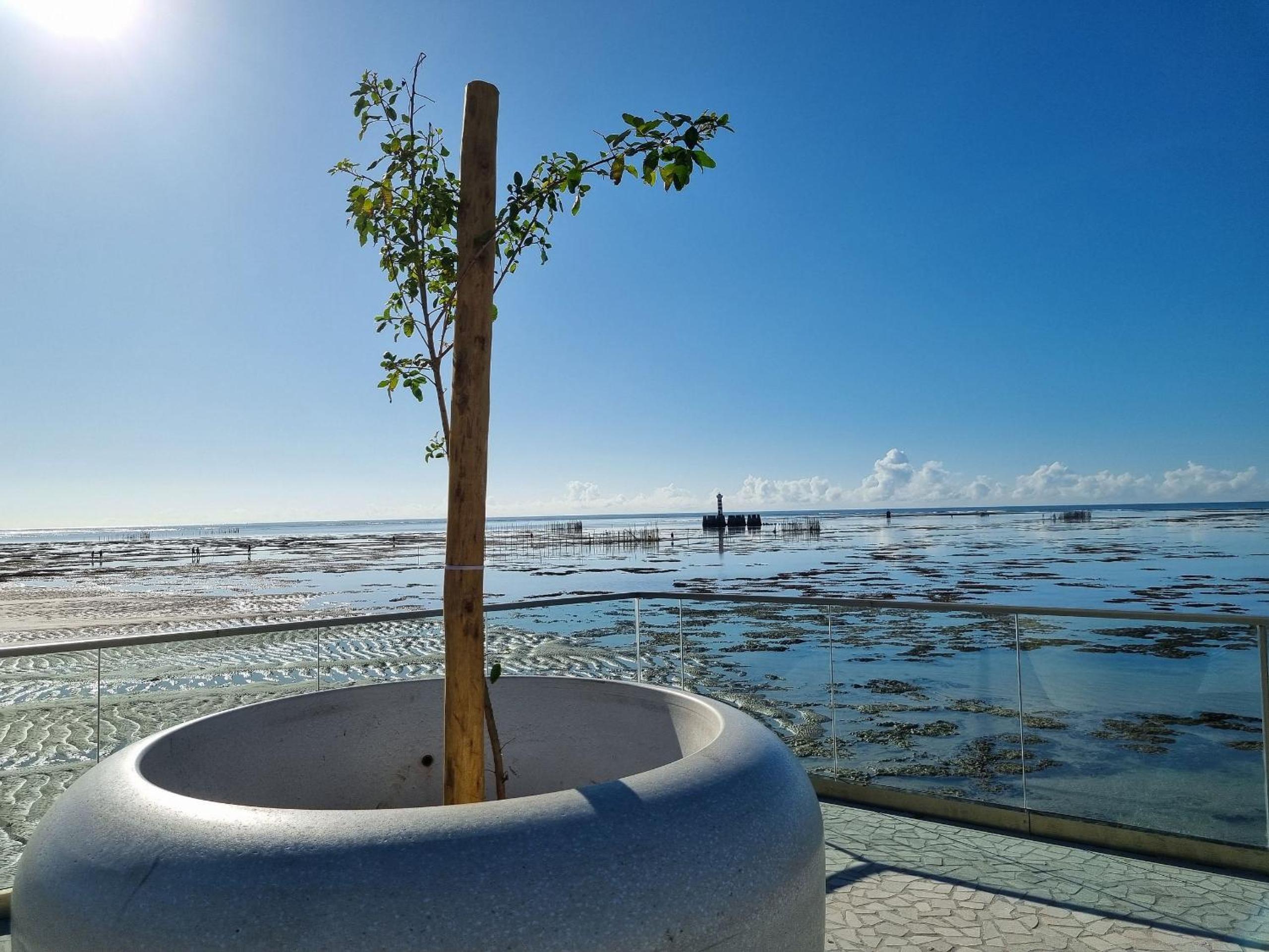 Apartamento vista mar na Jatiúca, academia+piscina