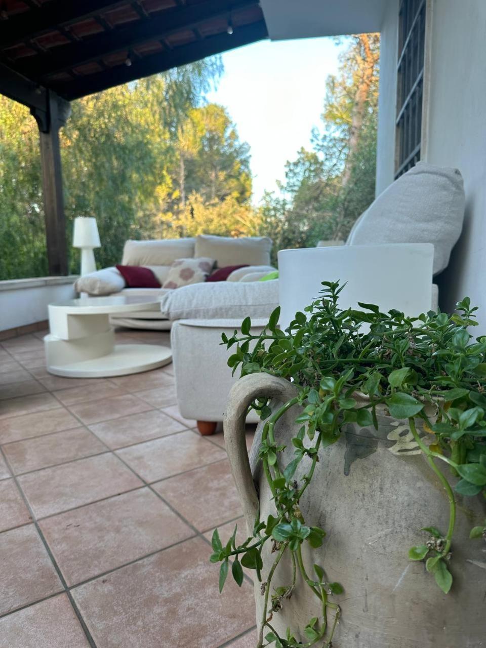 Villa Zoë photo 5