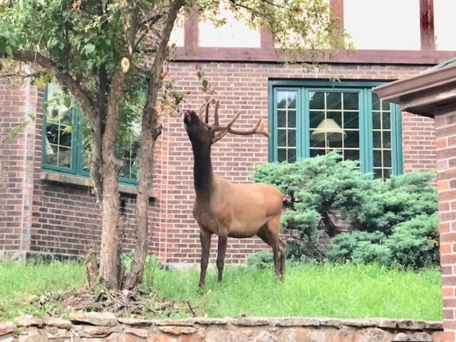 Colorado Bed & Breakfast with beautiful views