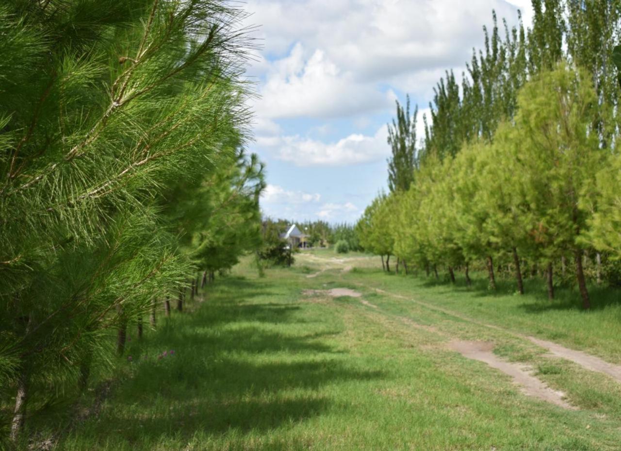 Finca La Vilina - Cabaña 2