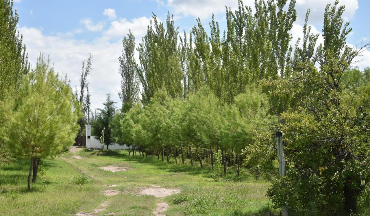 Finca La Vilina - Cabaña 2