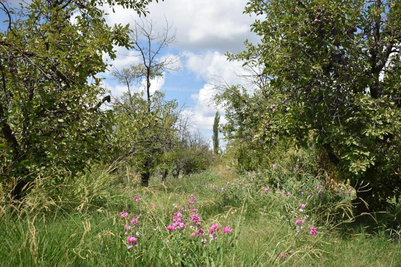 Finca La Vilina - Cabaña 2