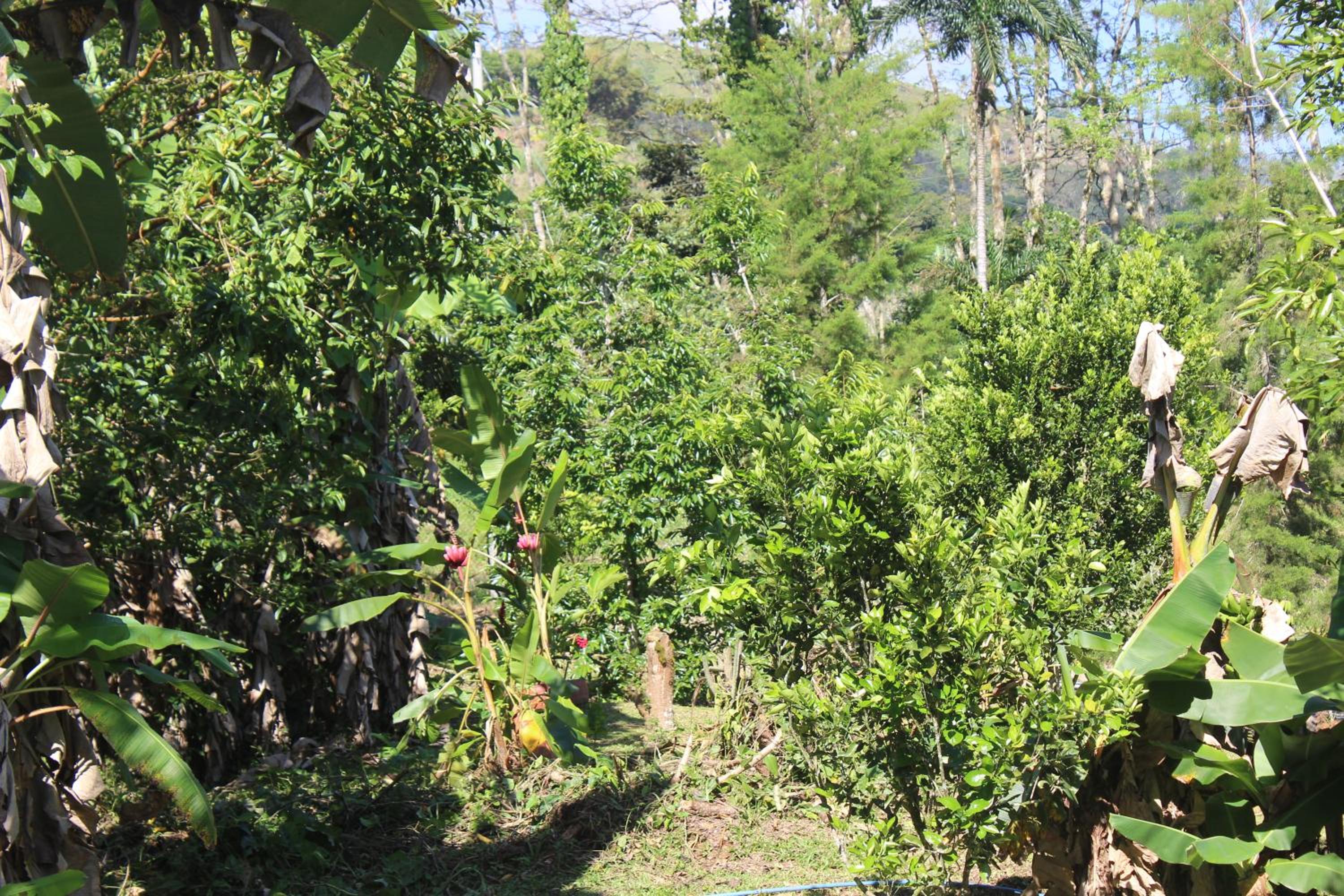 Rancho Los Duendes