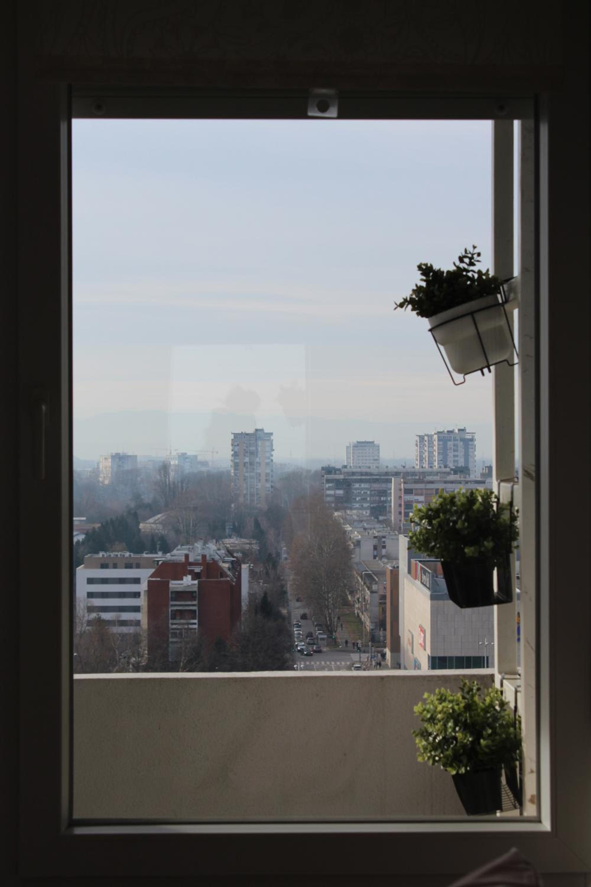 Photo 24