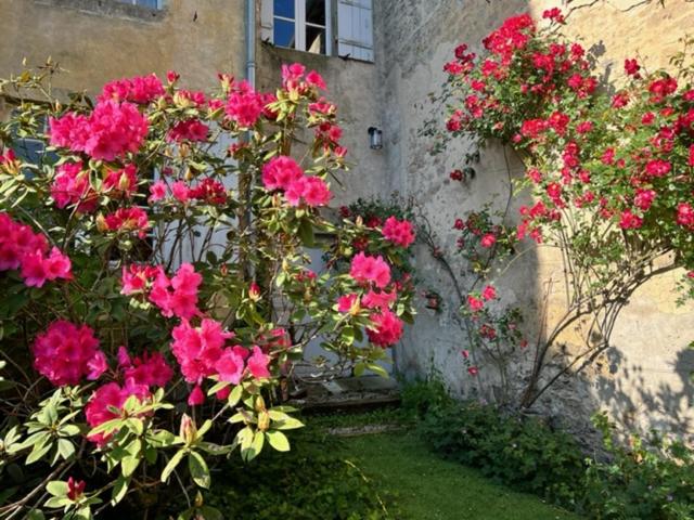 Maison d'hôtes de charme Le Clos de la Cathédrale en Sud Gironde, photo 7