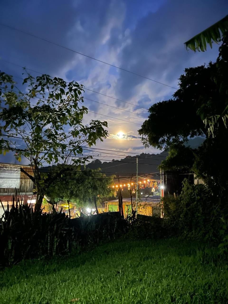 Photo 20