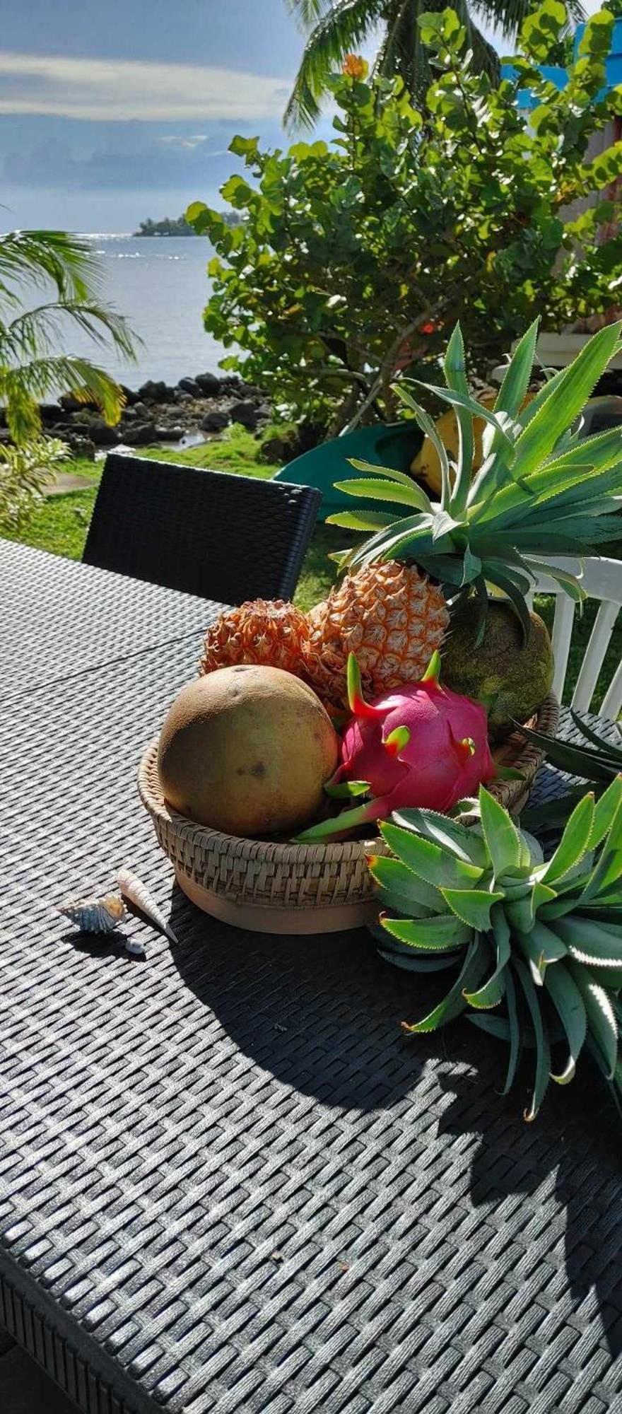 Bungalow les pieds ds l eau, La Maison Bleue