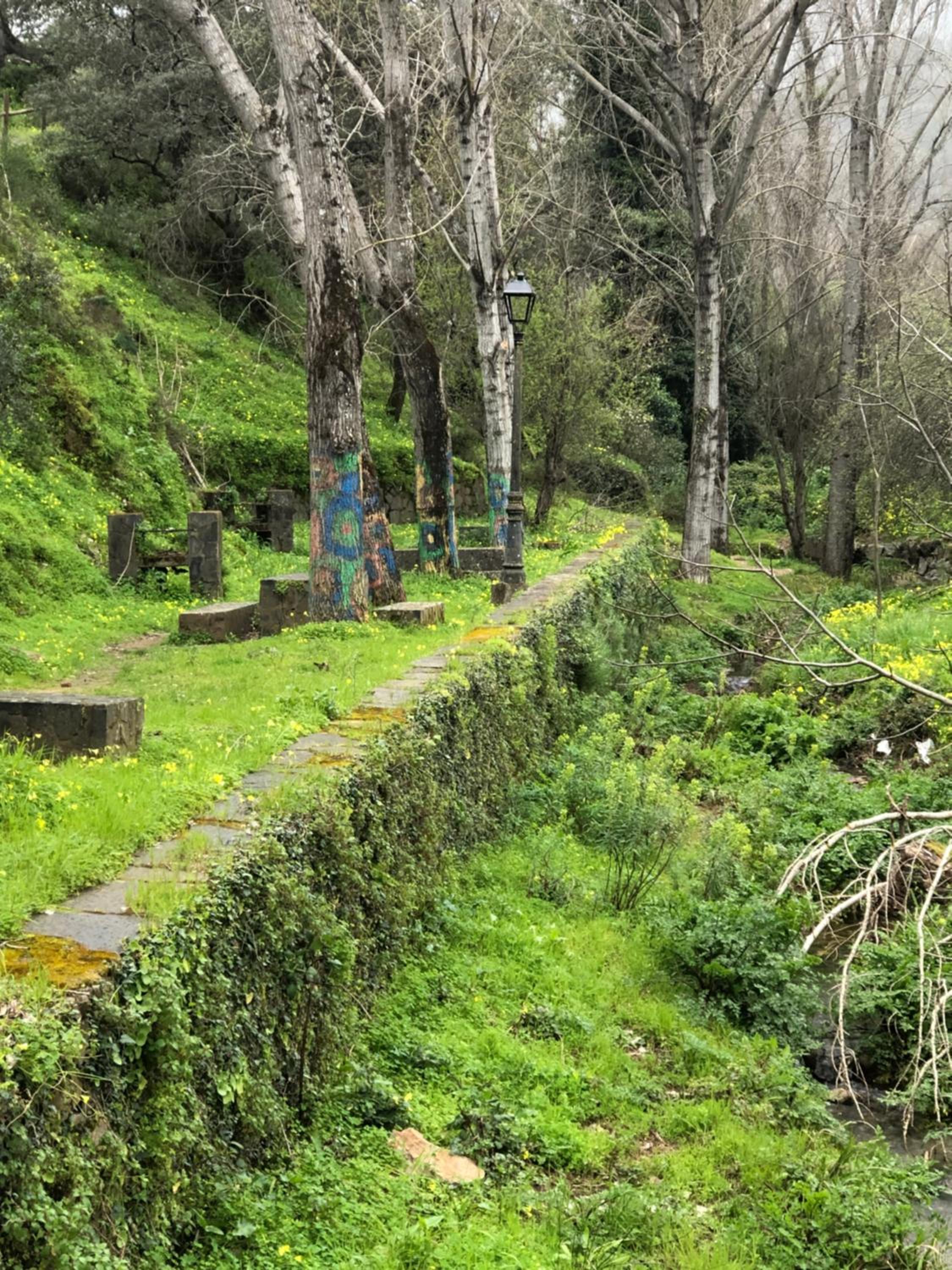 ALOJAMIENTO RURAL EL CASTAÑO