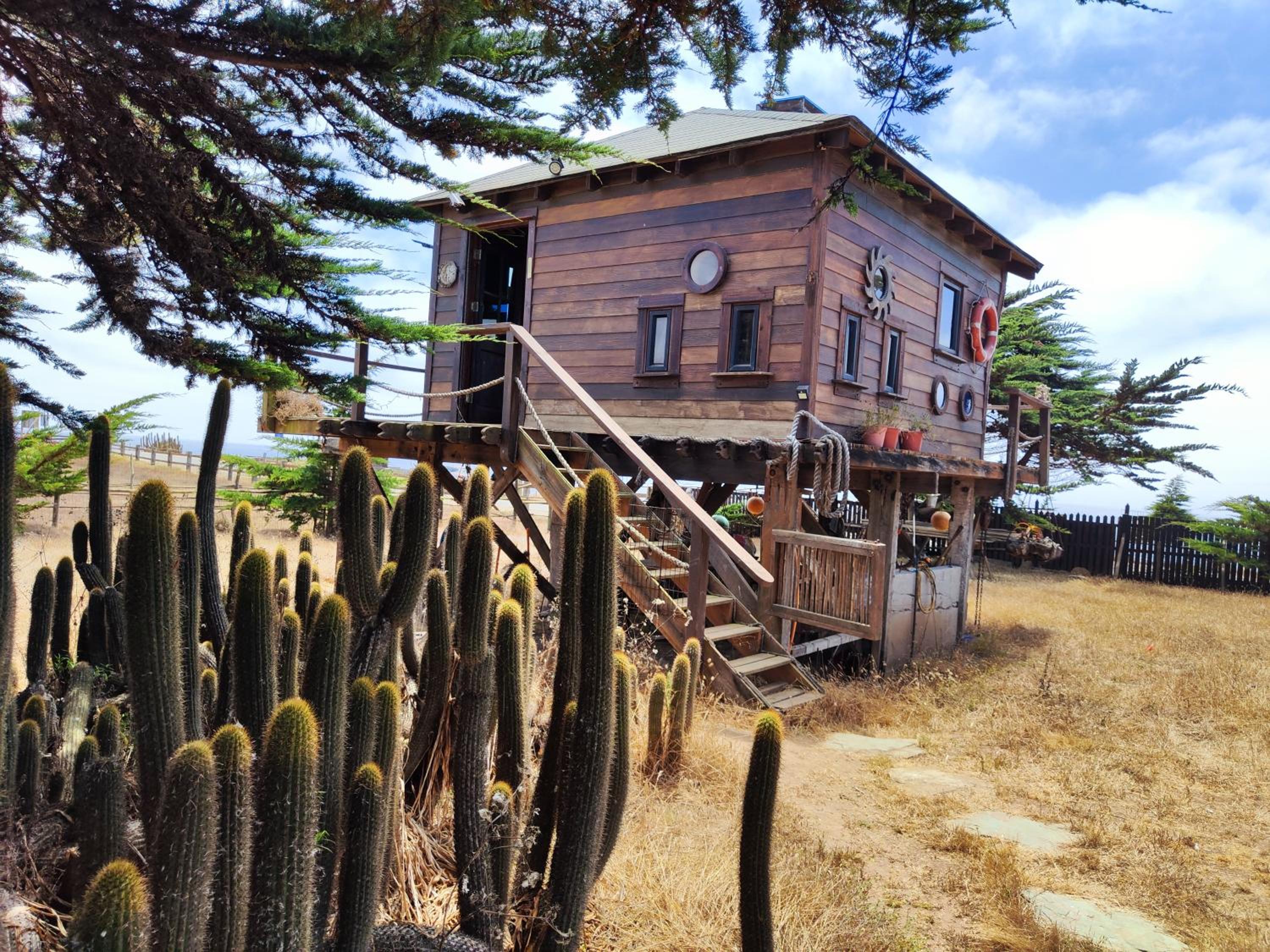 Barco Punta de Lobos