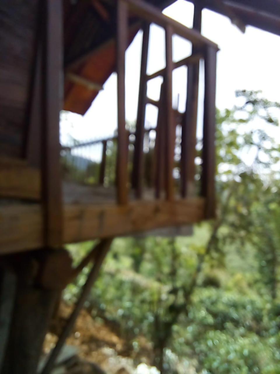 Sinharaja Forest Lodge view 5