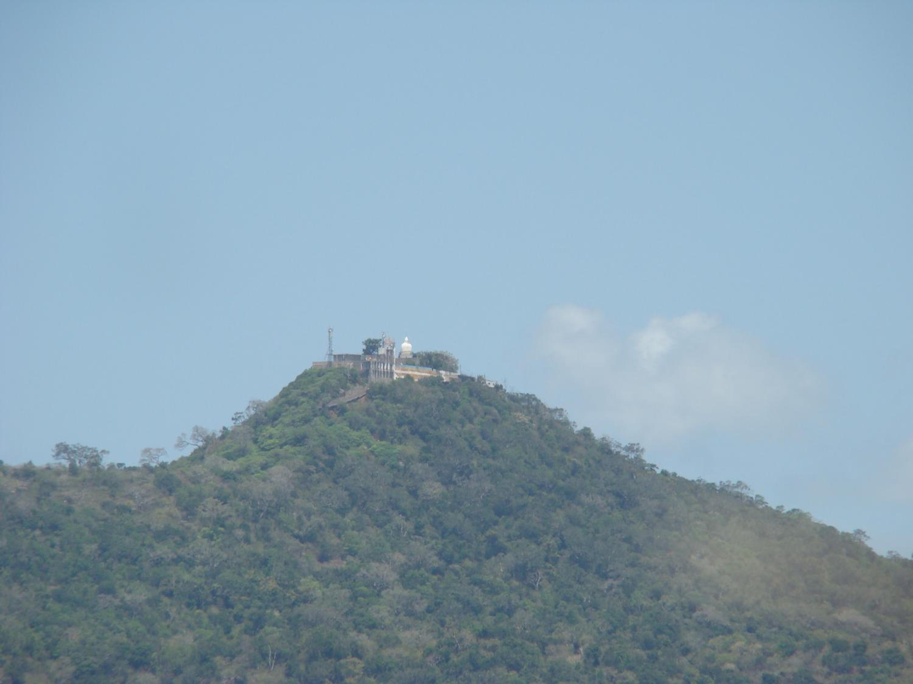 Photo 9