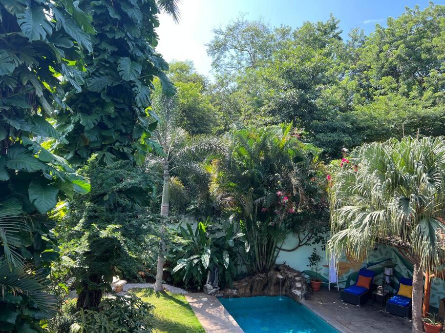 Casa n' Casa Your Own Private Tropical Paradise!