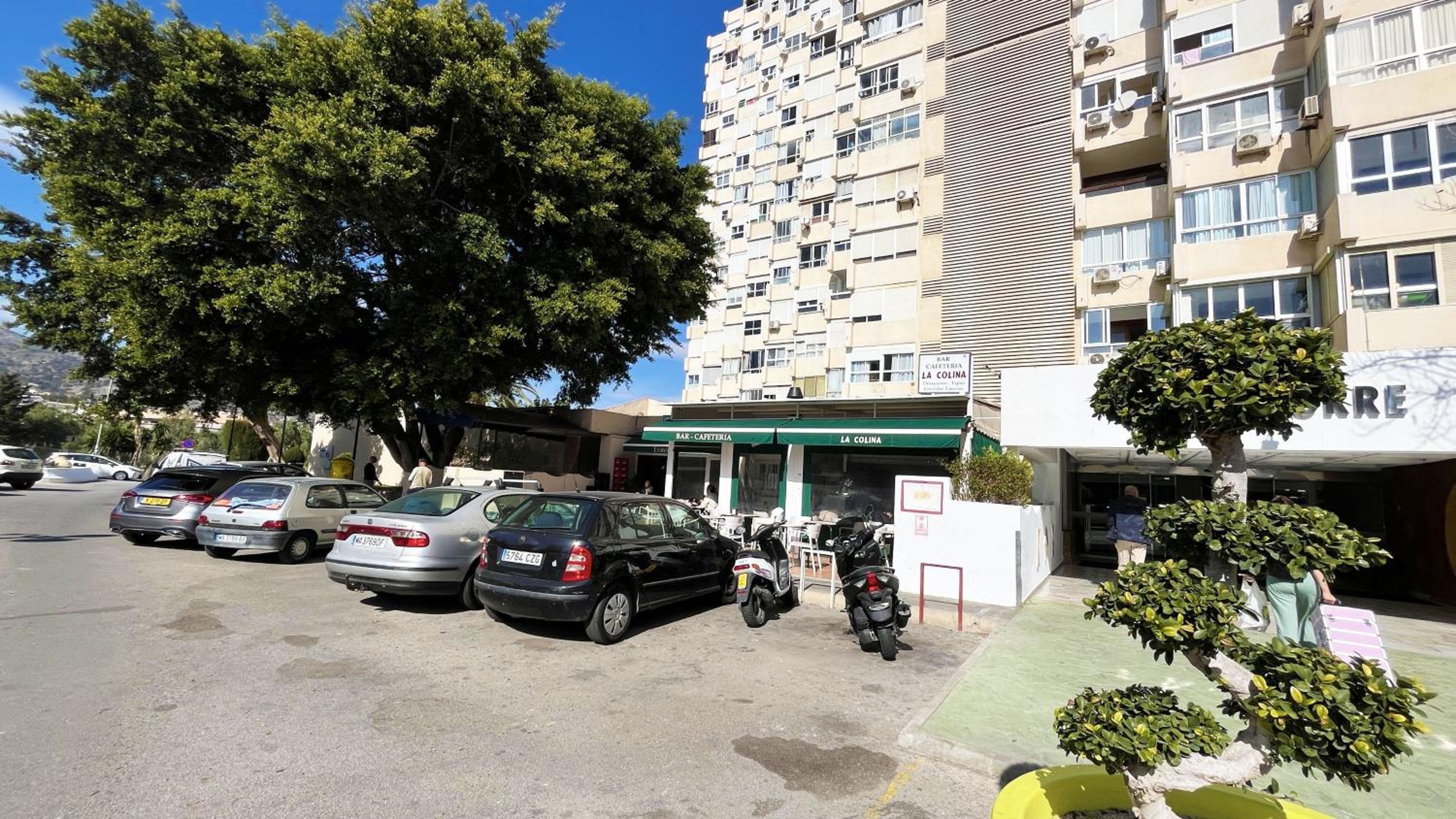 Photo 15