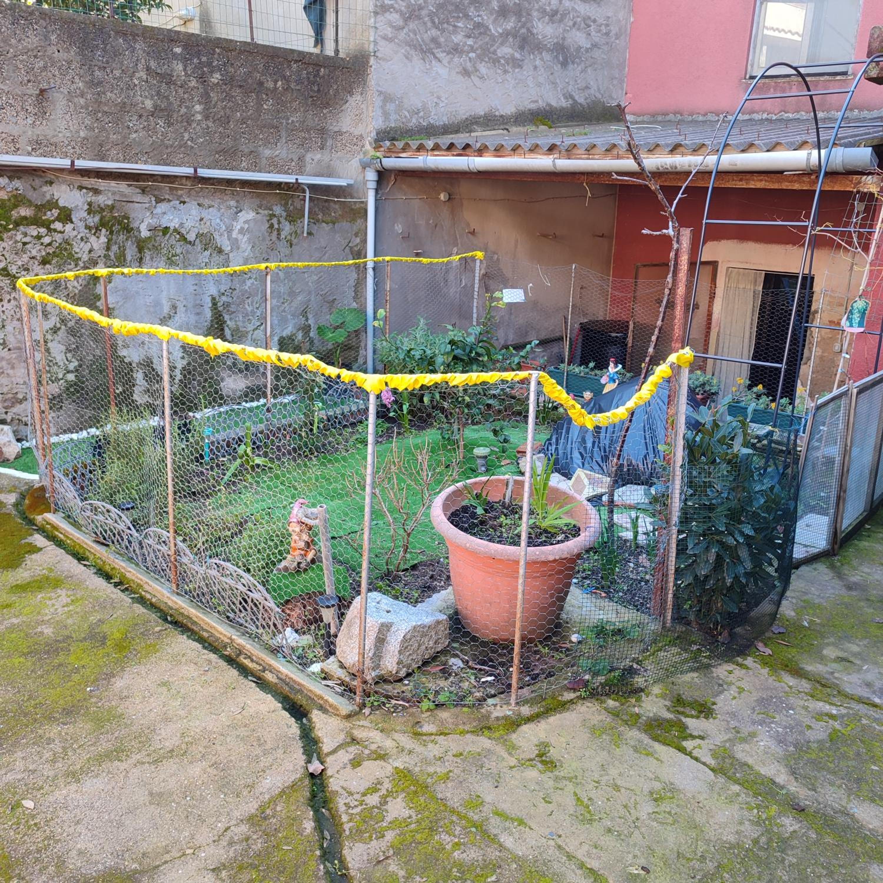 Photo 31