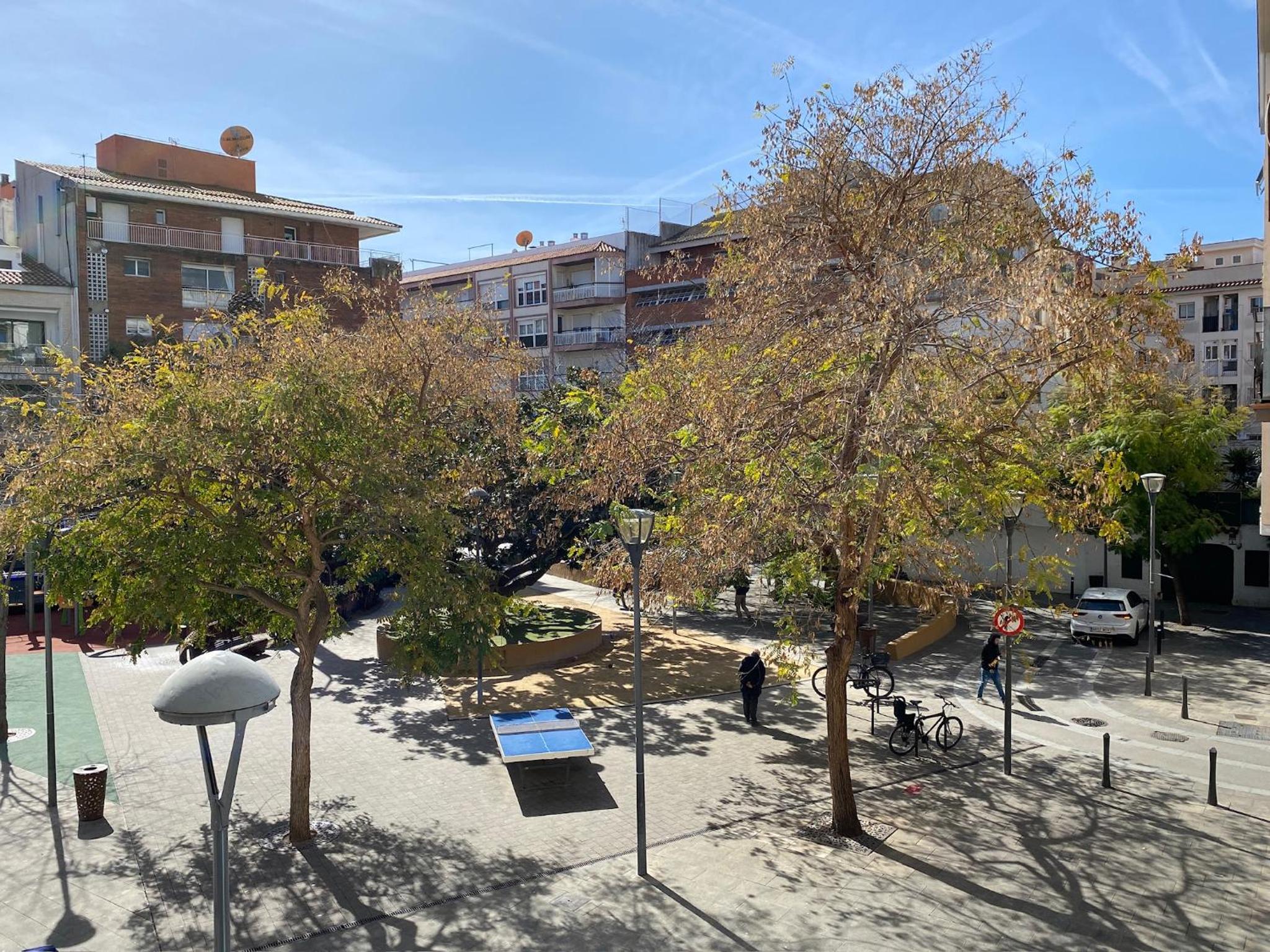 Apartments Brava - Image 2