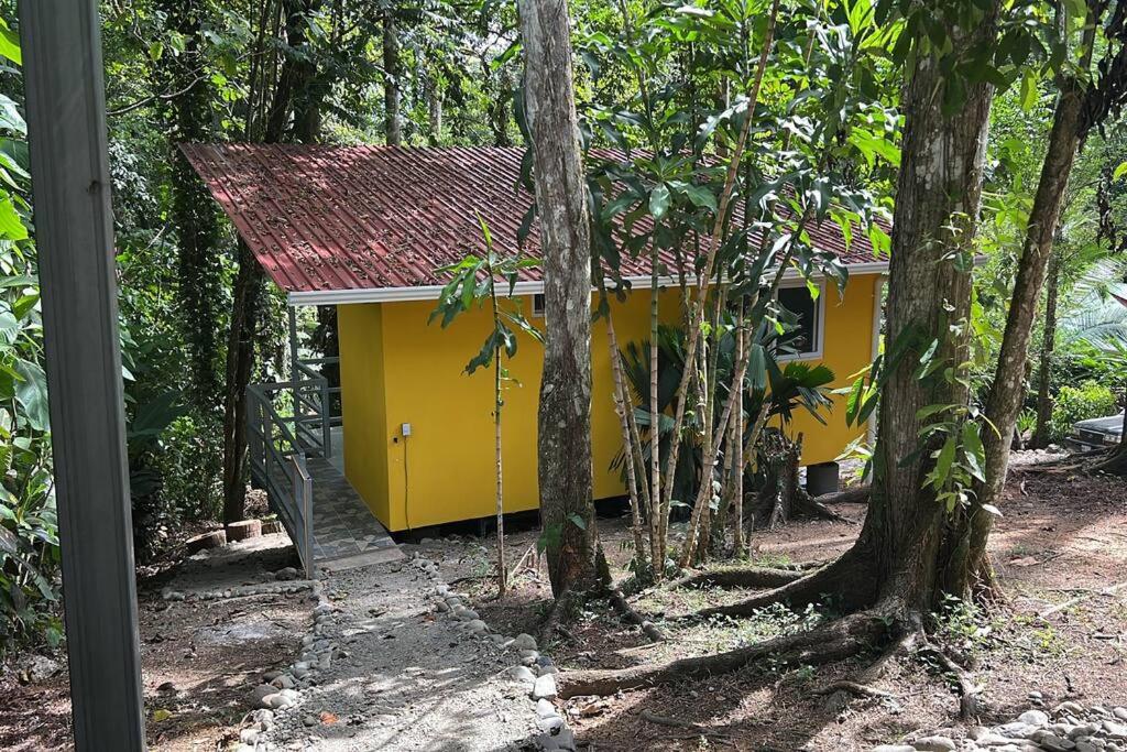 Tiny jungle house, few minutes from the beach