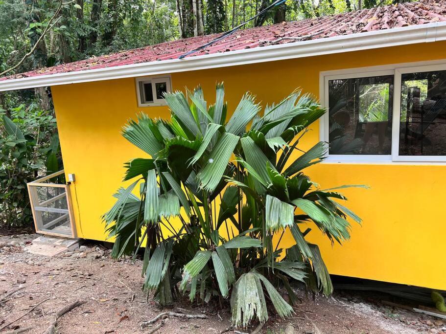 Tiny jungle house, few minutes from the beach