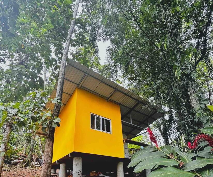 Tiny jungle house, few minutes from the beach