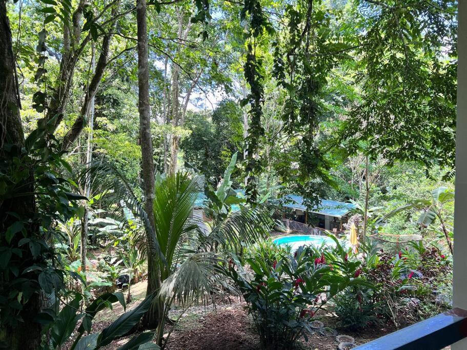 Tiny jungle house, few minutes from the beach