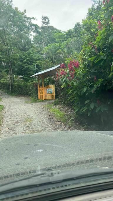 Tiny jungle house, few minutes from the beach