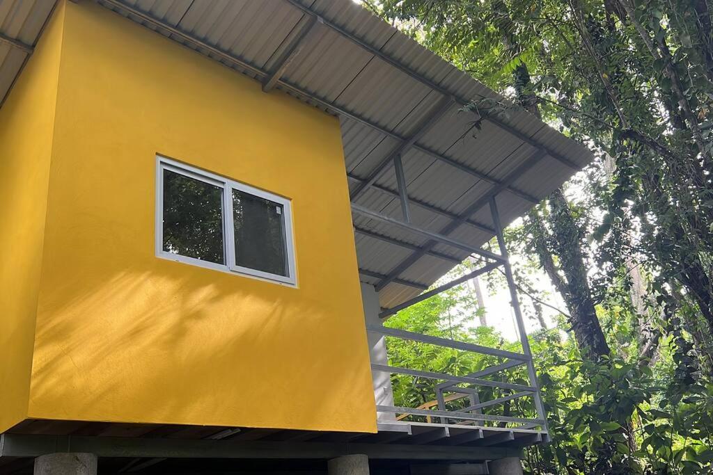 Tiny jungle house, few minutes from the beach