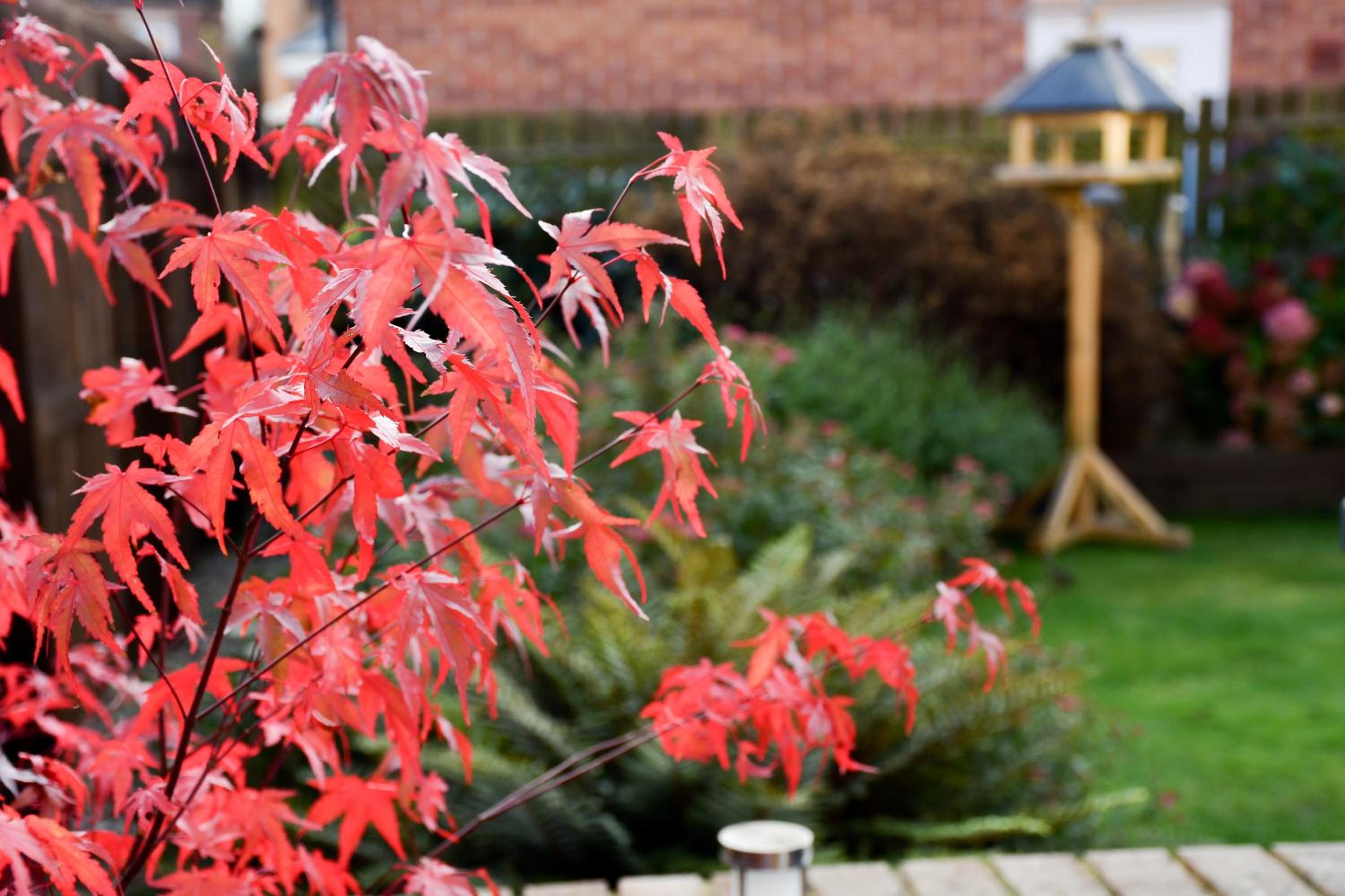 Meadowsweet House