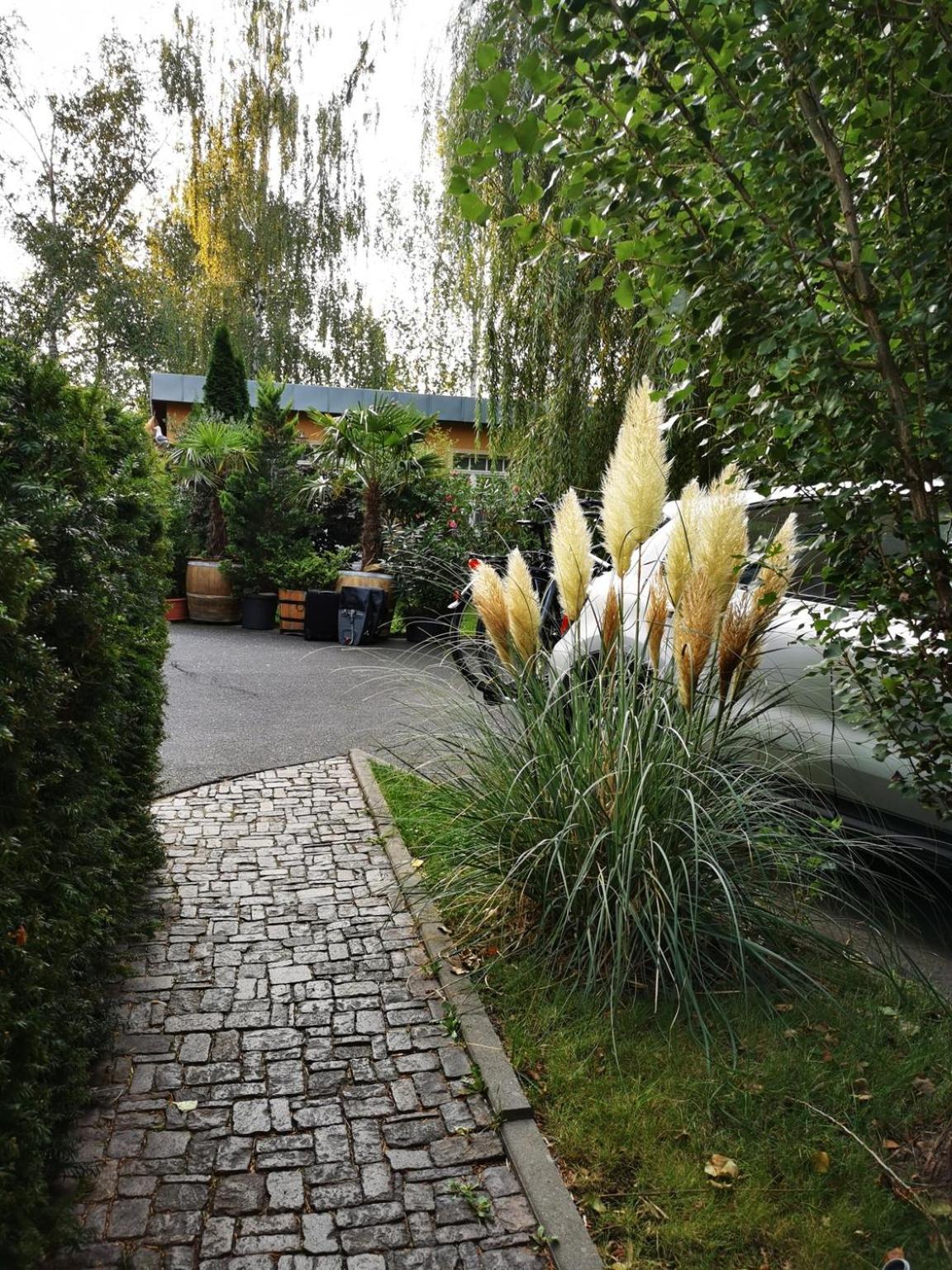 Ferienwohnung Silva