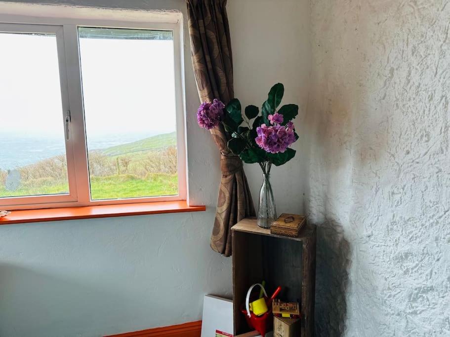 Bolus - Peaceful seaside retreat