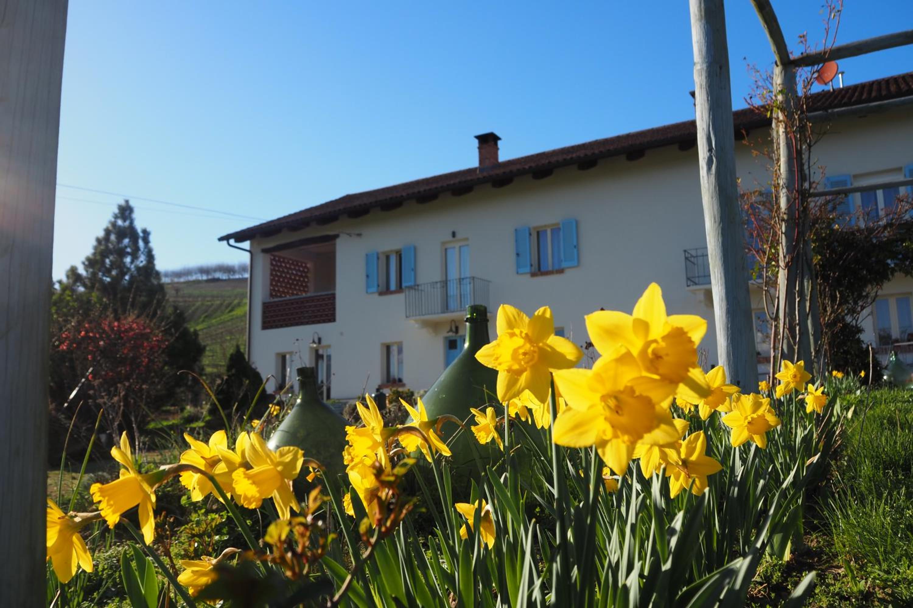 Casa del Roseto view 2
