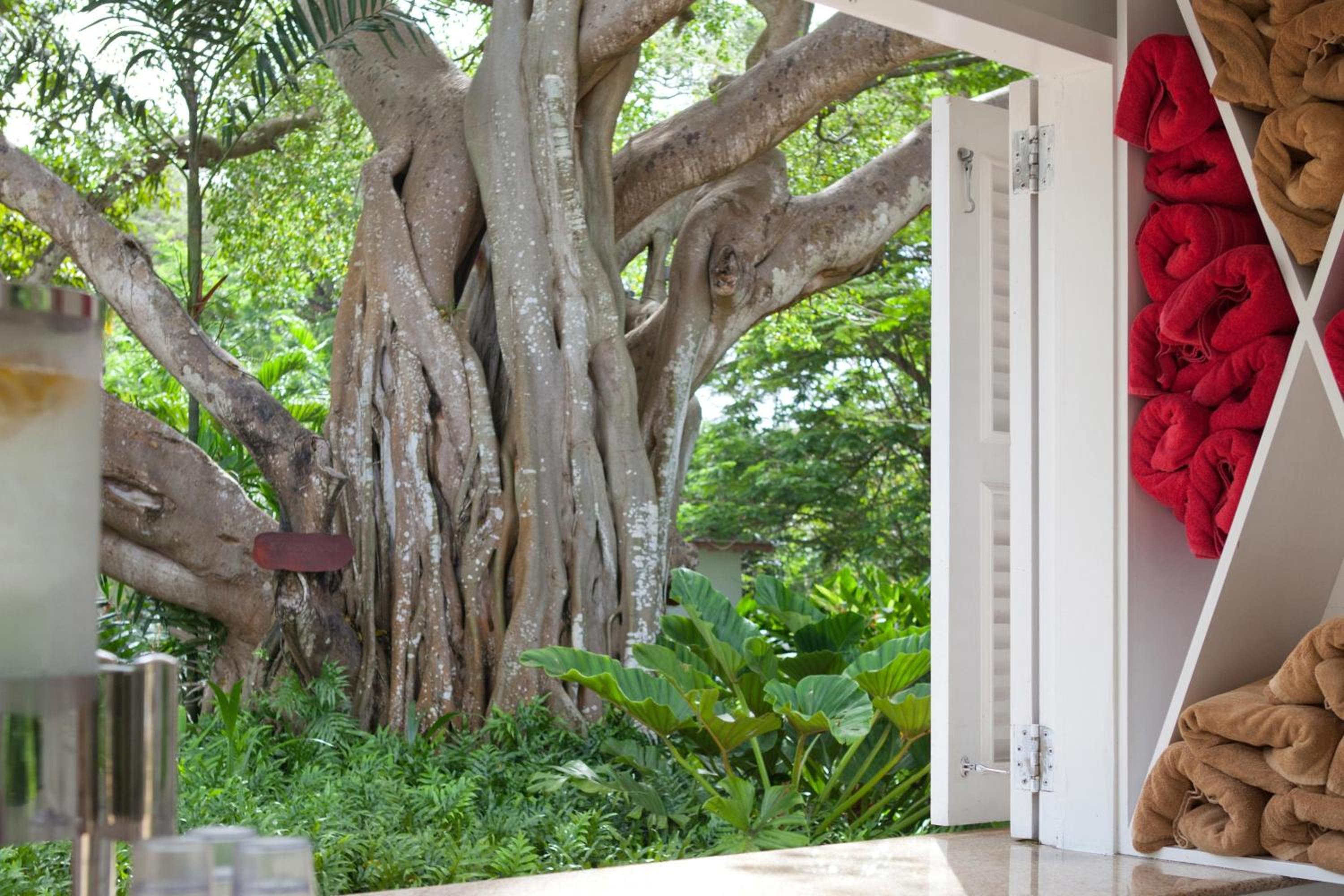 Colony Club, a Luxury Collection Resort, Barbados, photo 46