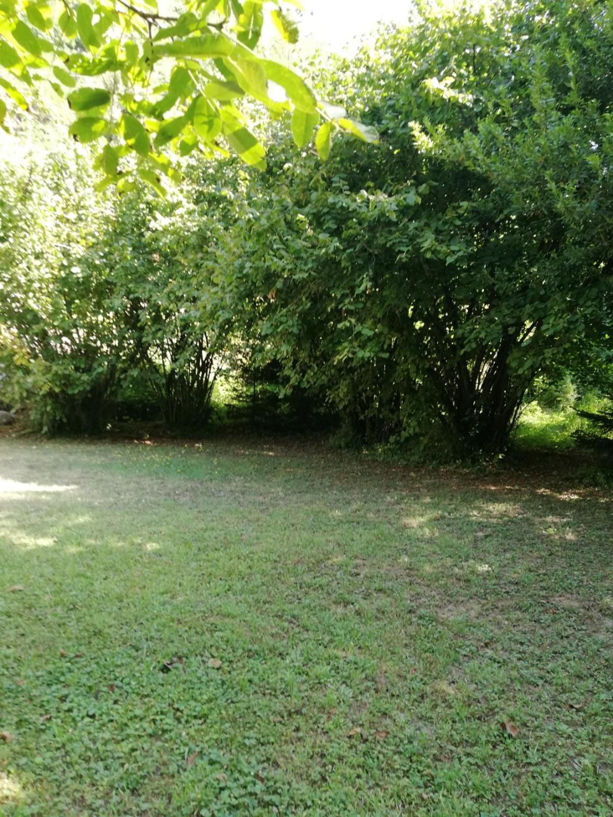 Photo 48