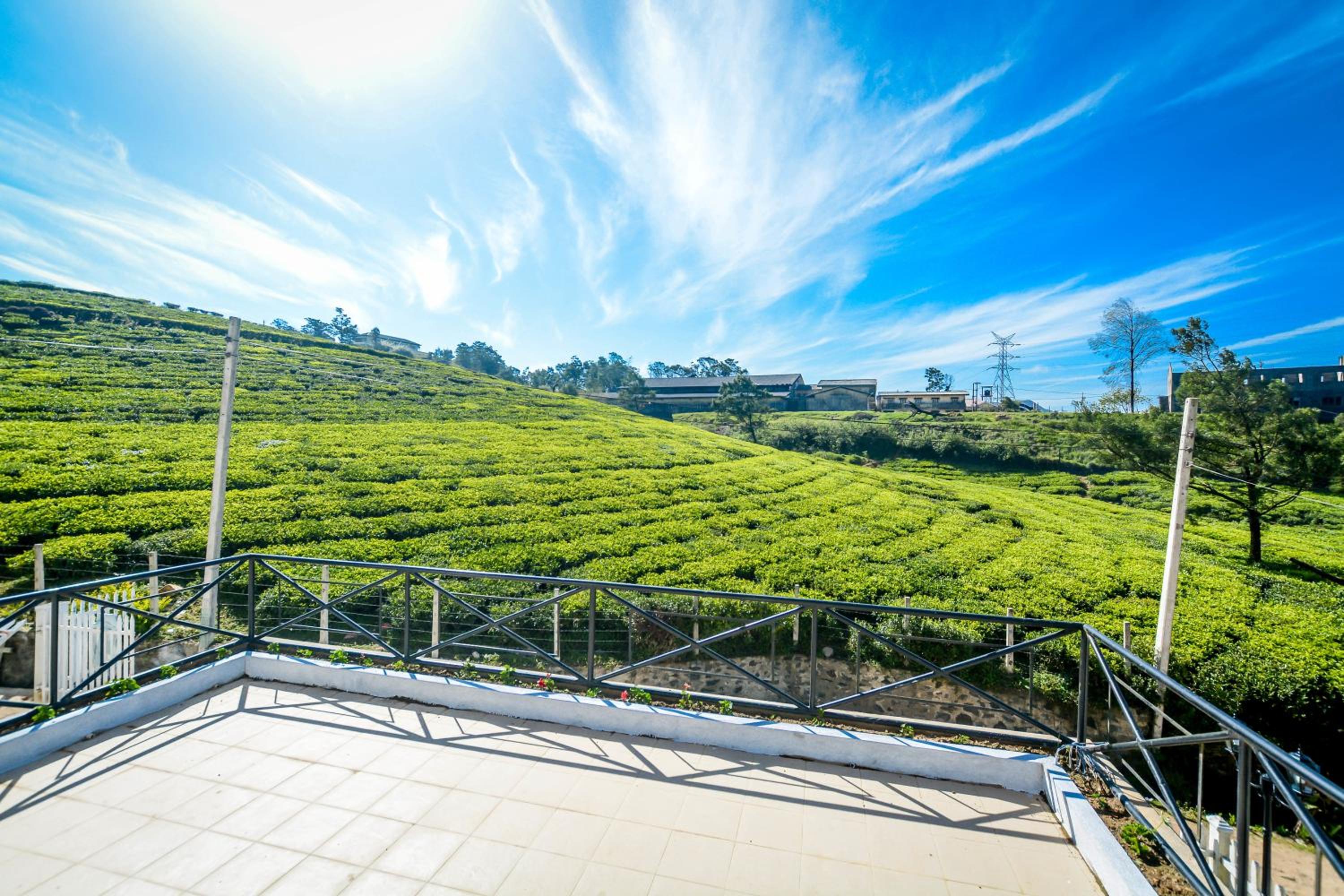Villa Tea Fields