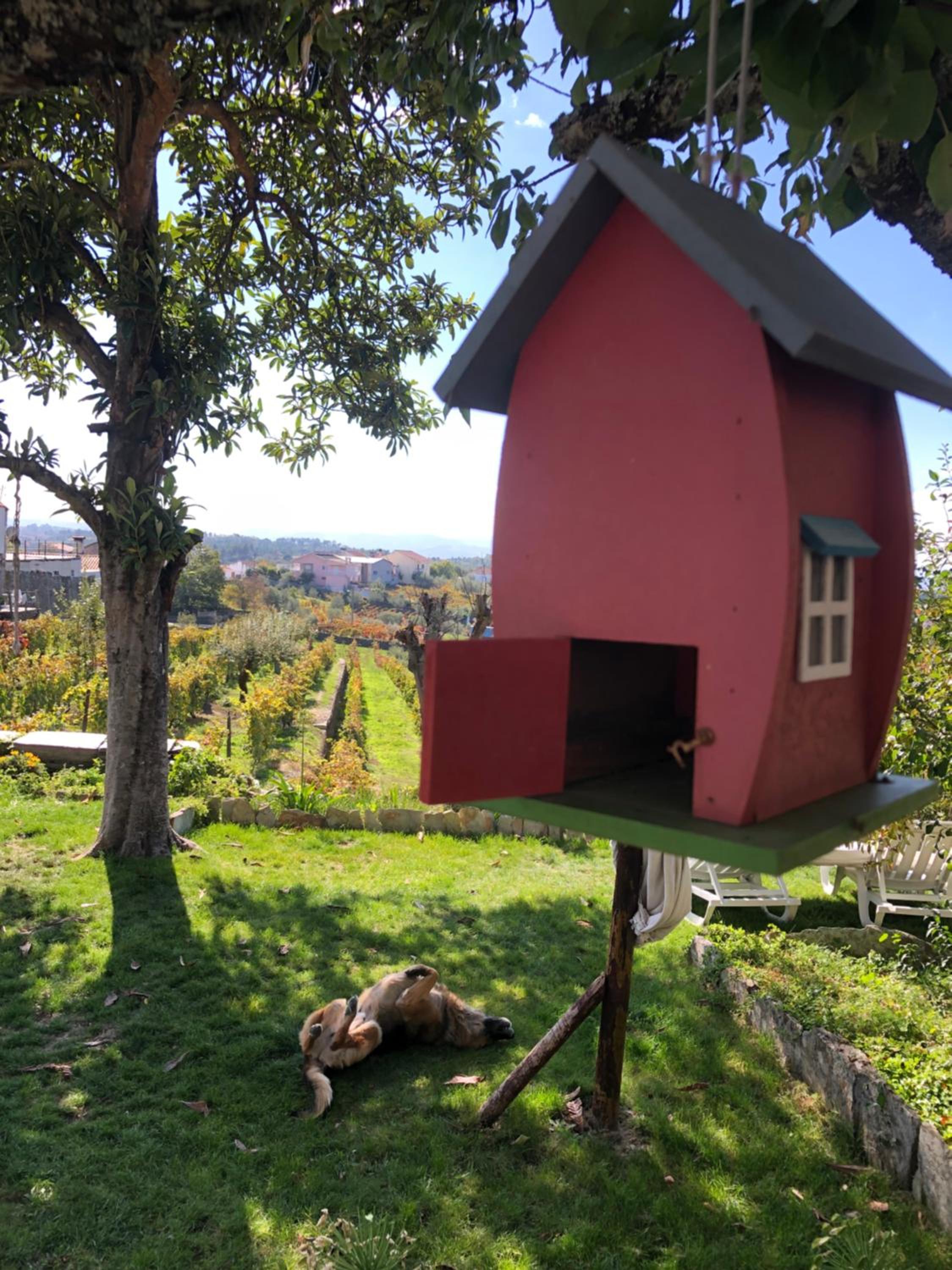 Quinta Da Estrada Winery Douro Valley view 4